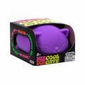 Cool Cats NeeDoh 1