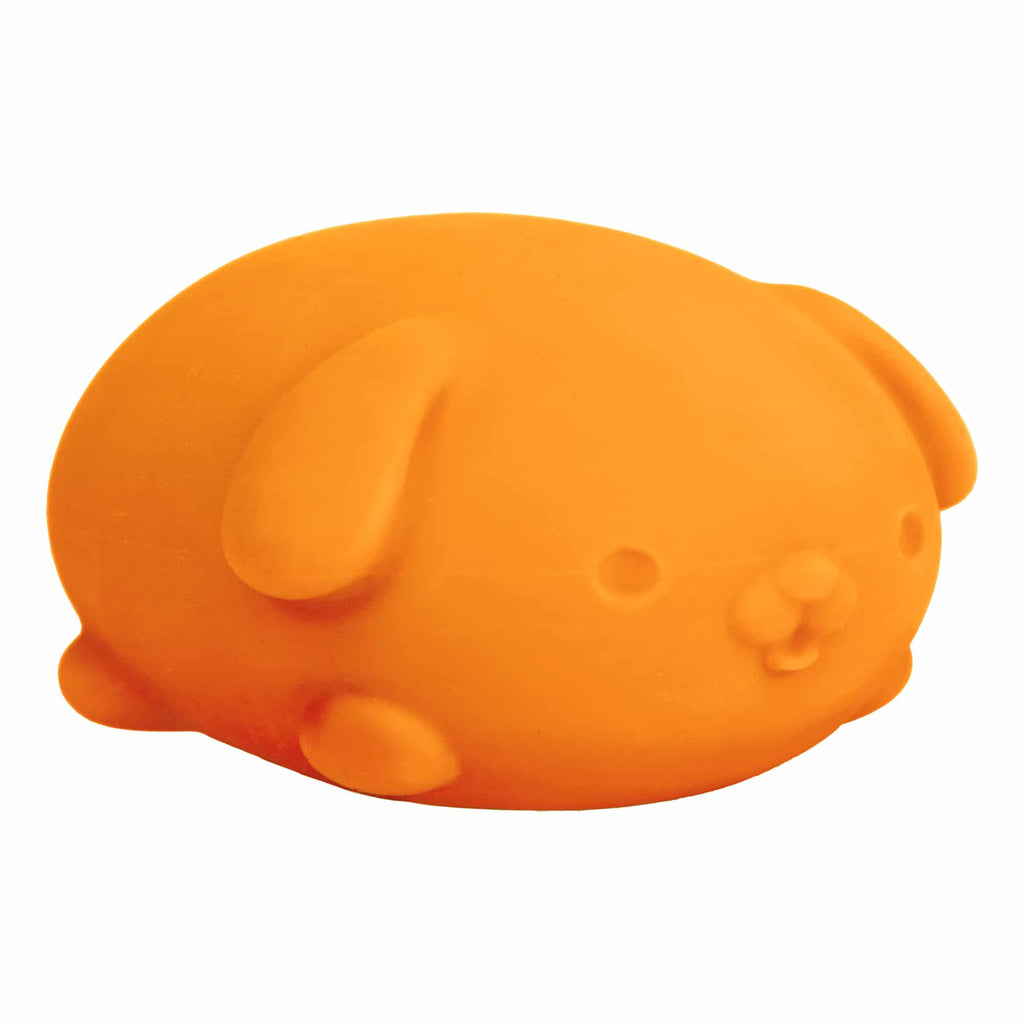 NeeDoh Funky Pup 7